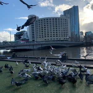 Meet your Posher, Smy